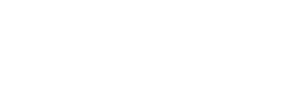 Dassault_Systèmes_Blanc